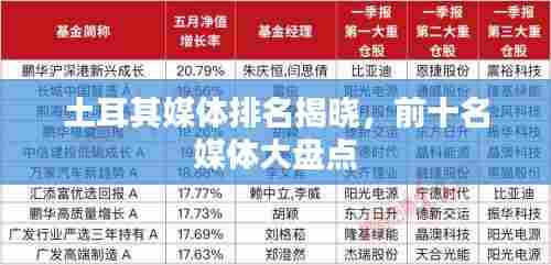 土耳其媒体排名揭晓,前十名媒体大盘点