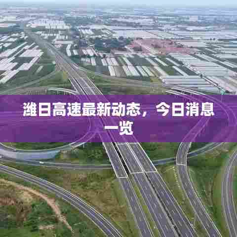 潍日高速最新动态,今日消息一览