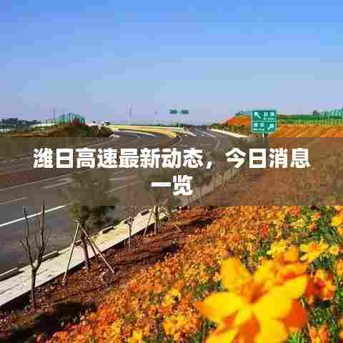 潍日高速最新动态,今日消息一览