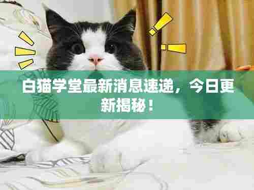 白猫学堂最新消息速递,今日更新揭秘!