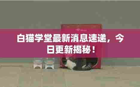 白猫学堂最新消息速递,今日更新揭秘!
