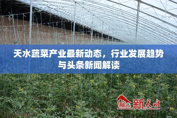 天水蔬菜产业最新动态，行业发展趋势与头条新闻解读