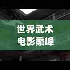 世界武术电影巅峰排行榜,震撼视觉不容错过!