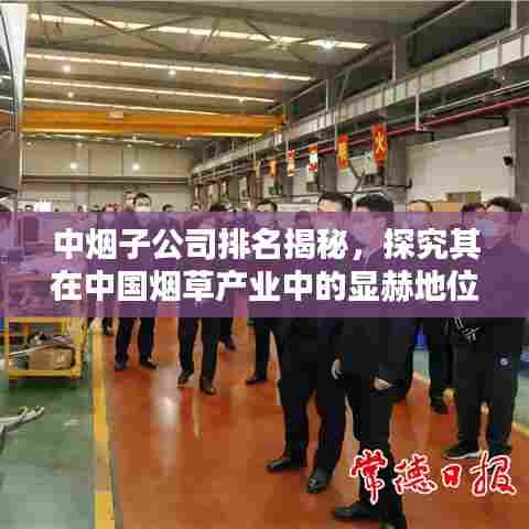 中烟子公司排名揭秘,探究其在中国烟草产业中的显赫地位