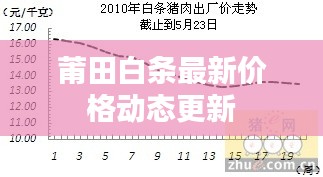 莆田白条最新价格动态更新