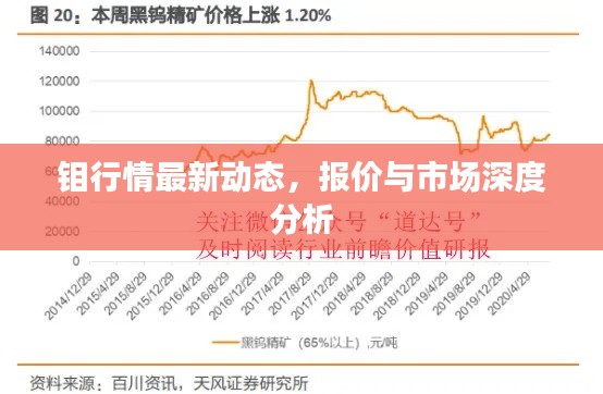 钼行情最新动态，报价与市场深度分析