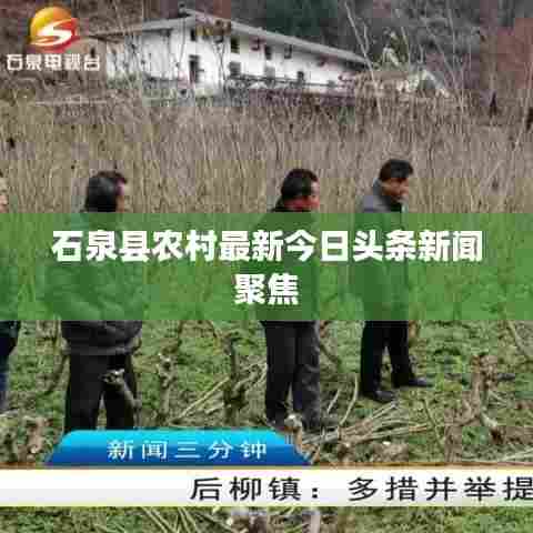 石泉县农村最新今日头条新闻聚焦