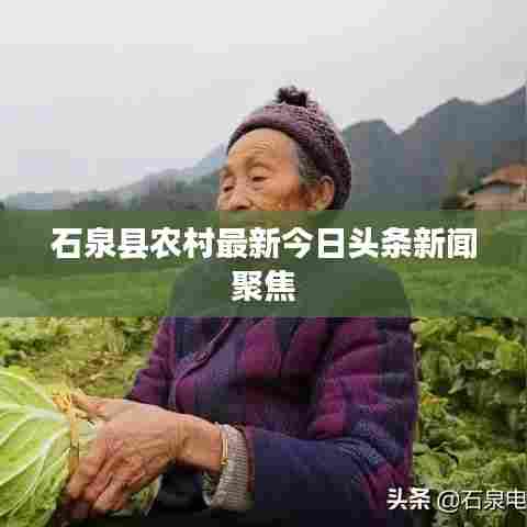 石泉县农村最新今日头条新闻聚焦