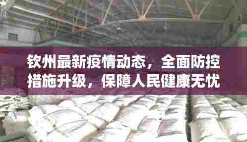 钦州最新疫情动态,全面防控措施升级,保障人民健康无忧