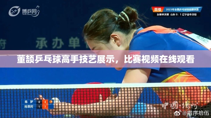 董颉乒乓球高手技艺展示,比赛视频在线观看
