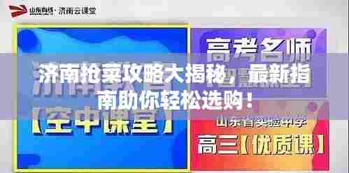 济南抢菜攻略大揭秘,最新指南助你轻松选购!