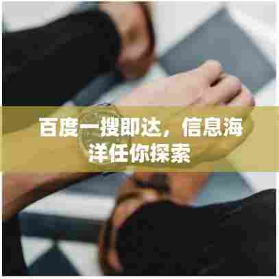 百度一搜即达,信息海洋任你探索