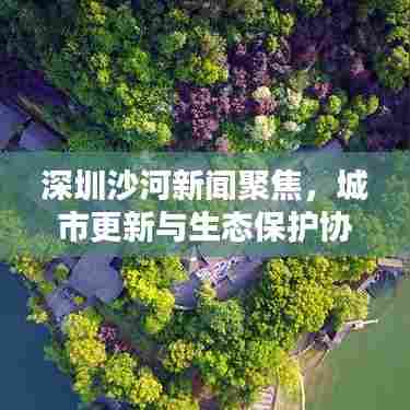 深圳沙河新闻聚焦，城市更新与生态保护协同并进，共创绿色未来