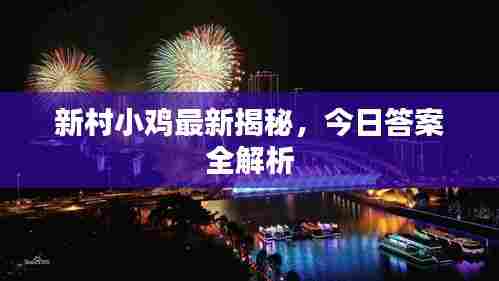 新村小鸡最新揭秘,今日答案全解析