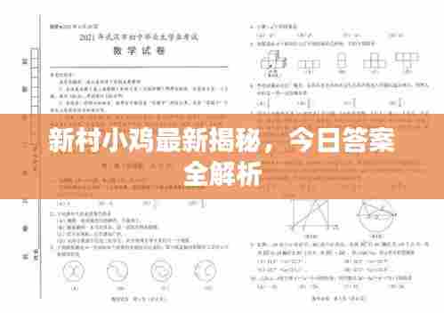 新村小鸡最新揭秘,今日答案全解析