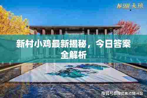 新村小鸡最新揭秘,今日答案全解析