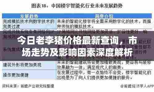 今日老李猪价格最新查询，市场走势及影响因素深度解析