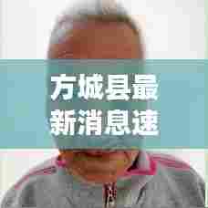 方城县最新消息速递,今日头条更新资讯汇总