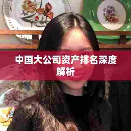 中国大公司资产排名深度解析