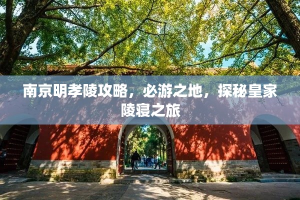 南京明孝陵攻略，必游之地，探秘皇家陵寝之旅