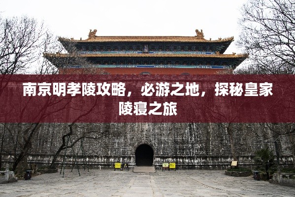 南京明孝陵攻略,必游之地,探秘皇家陵寝之旅