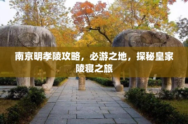 南京明孝陵攻略,必游之地,探秘皇家陵寝之旅
