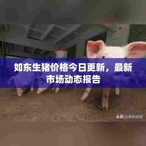 艰苦朴素 第3页