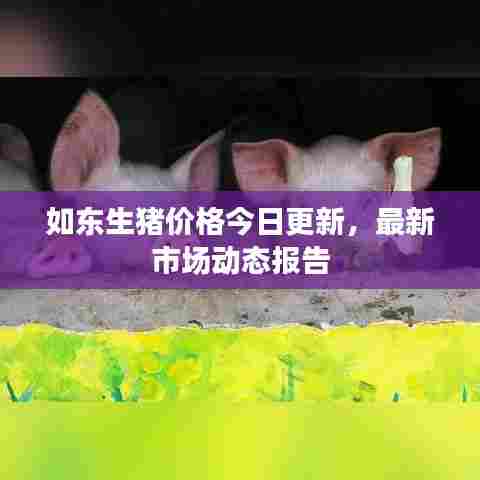 如东生猪价格今日更新,最新市场动态报告