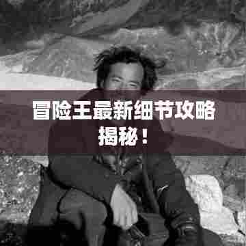 冒险王最新细节攻略揭秘!