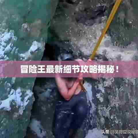 冒险王最新细节攻略揭秘!