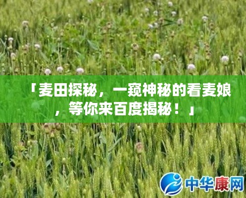 「麦田探秘,一窥神秘的看麦娘,等你来百度揭秘!」