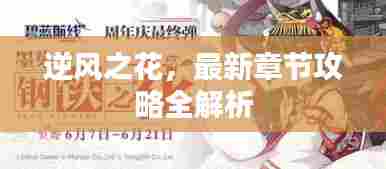 逆风之花,最新章节攻略全解析