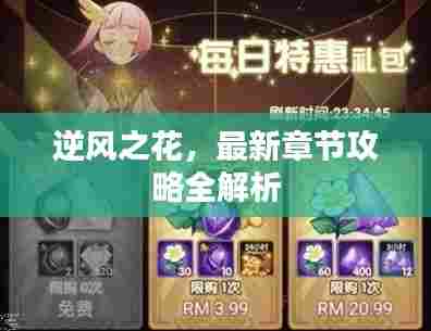 逆风之花,最新章节攻略全解析