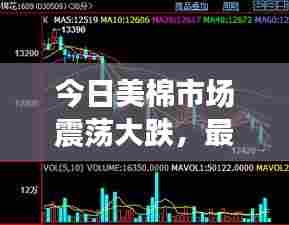 今日美棉市场震荡大跌,最新动态与市场走势分析