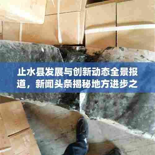 止水县发展与创新动态全景报道，新闻头条揭秘地方进步之路