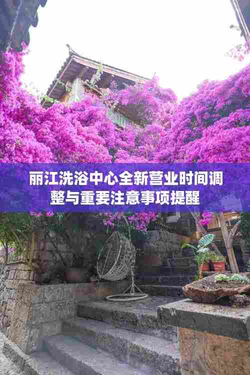 百尺无枝 第4页