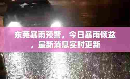 东莞暴雨预警,今日暴雨倾盆,最新消息实时更新