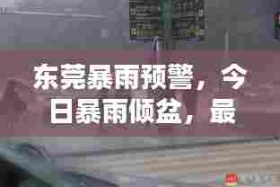 东莞暴雨预警,今日暴雨倾盆,最新消息实时更新
