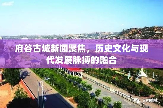 府谷古城新闻聚焦，历史文化与现代发展脉搏的融合
