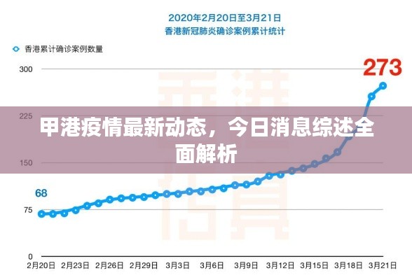 甲港疫情最新动态,今日消息综述全面解析