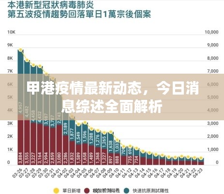 甲港疫情最新动态,今日消息综述全面解析