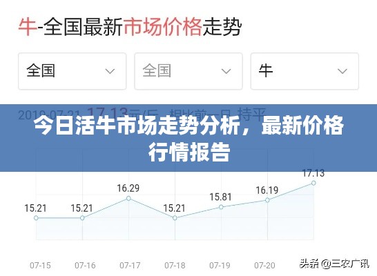 今日活牛市场走势分析,最新价格行情报告