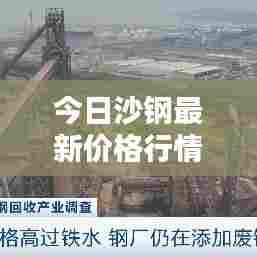 今日沙钢最新价格行情动态!