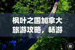 枫叶之国加拿大旅游攻略,畅游精彩之旅!
