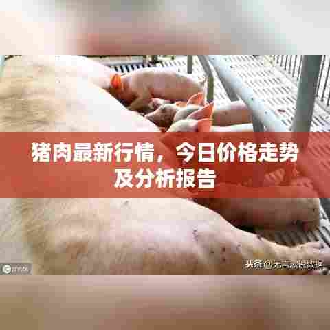 物以希为贵 第4页