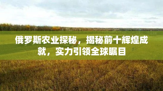 俄罗斯农业探秘，揭秘前十辉煌成就，实力引领全球瞩目