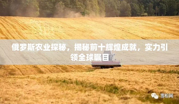 俄罗斯农业探秘,揭秘前十辉煌成就,实力引领全球瞩目