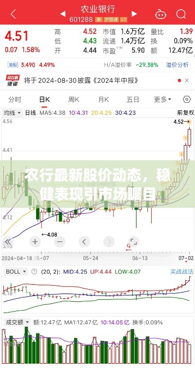 农行最新股价动态，稳健表现引市场瞩目