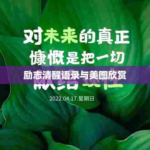 励志清醒语录与美图欣赏
