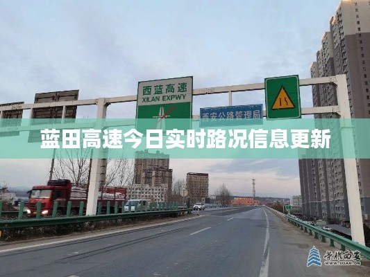 花枝招展 第4页